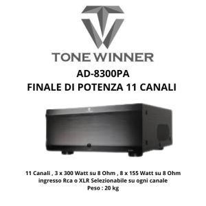 TONEWINNER AD-8300PA | Finale di Potenza Home Theater 11 Canali