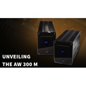 ELECTROCOMPANIET AW 300 M | Amplificatore finale di potenza High-End monofonico
