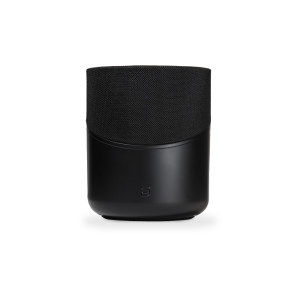 BLUESOUND PULSE FLEX 2i | All-In-One Wireless Streaming Music Speaker Airplay 2