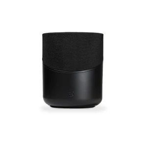 BLUESOUND PULSE FLEX 2i | All-In-One Wireless Streaming Music Speaker Airplay 2